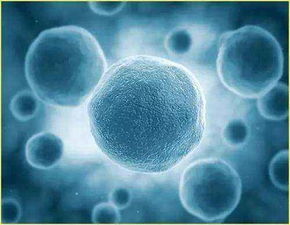 細胞株生產廠家 批發商