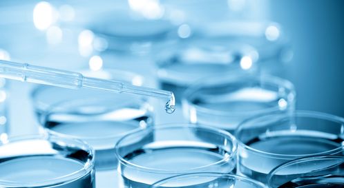 細(xì)胞培養(yǎng)干貨總結(jié) 生物科技領(lǐng)域的關(guān)鍵技術(shù)與實(shí)踐要點(diǎn)