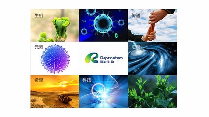 瑞太生物科技 推動生物技術創新，引領健康未來