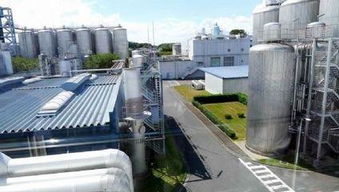 VR虛擬現實技術 重塑工業、建筑安全與生物科技的革新實踐