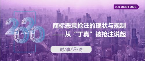 商標(biāo)惡意搶注的現(xiàn)狀與規(guī)制——從丁真被搶注說起丨大成時(shí)事評(píng)論