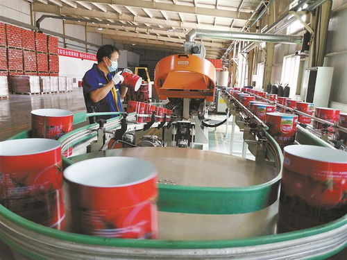 防疫不松勁 生產(chǎn)加速度 技術(shù)開發(fā) 三線并進(jìn)，筑牢發(fā)展根基